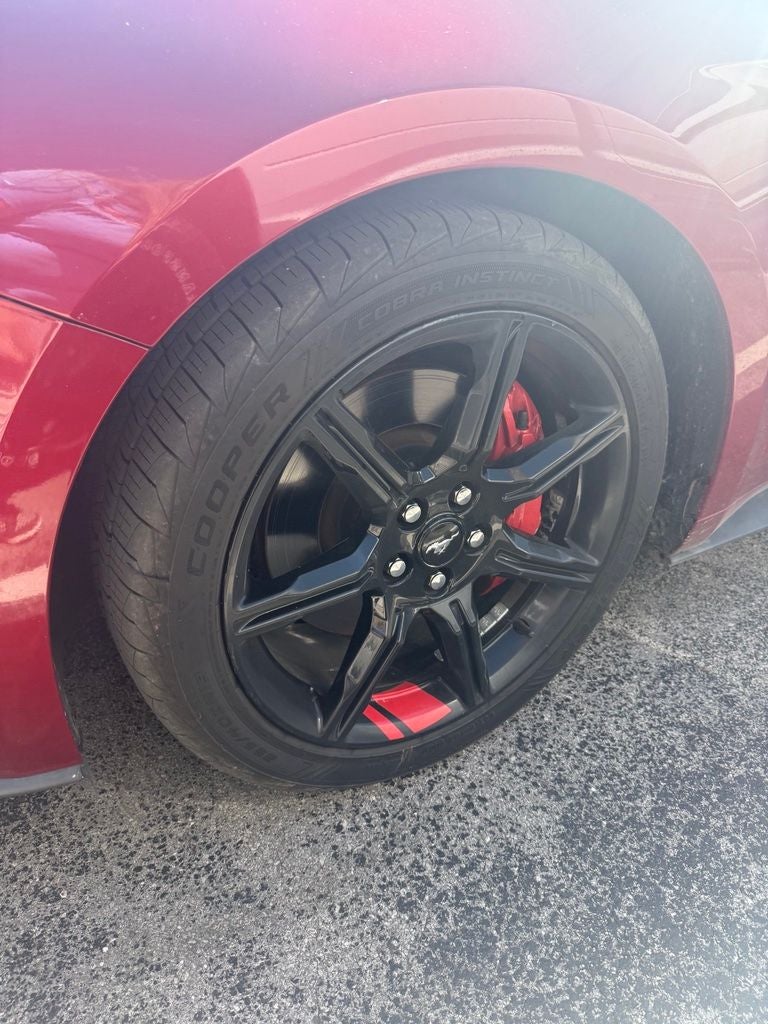2019 Ford Mustang GT