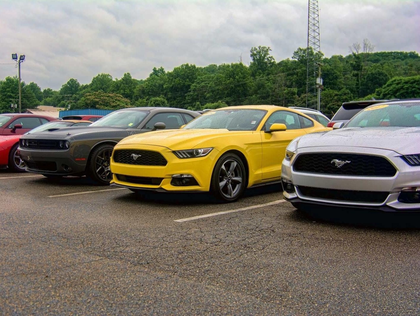 Mustangs on the Jason Lewis Knoxville Supercenter lot
